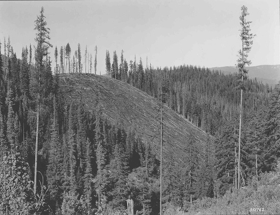 Black and white photo of logging operation in Deception Creek