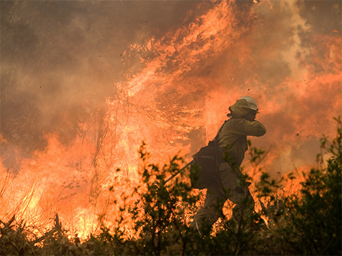 Ironwood Hot, Elk Complex, Boise National Forest