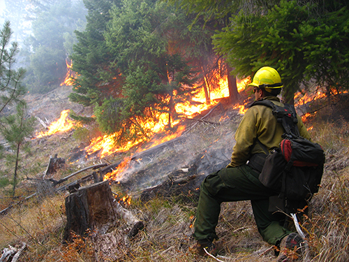 Firefighter monitors a prescribed burn