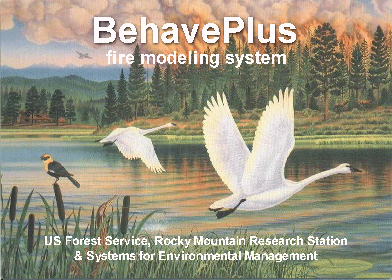 BehavePlus logo