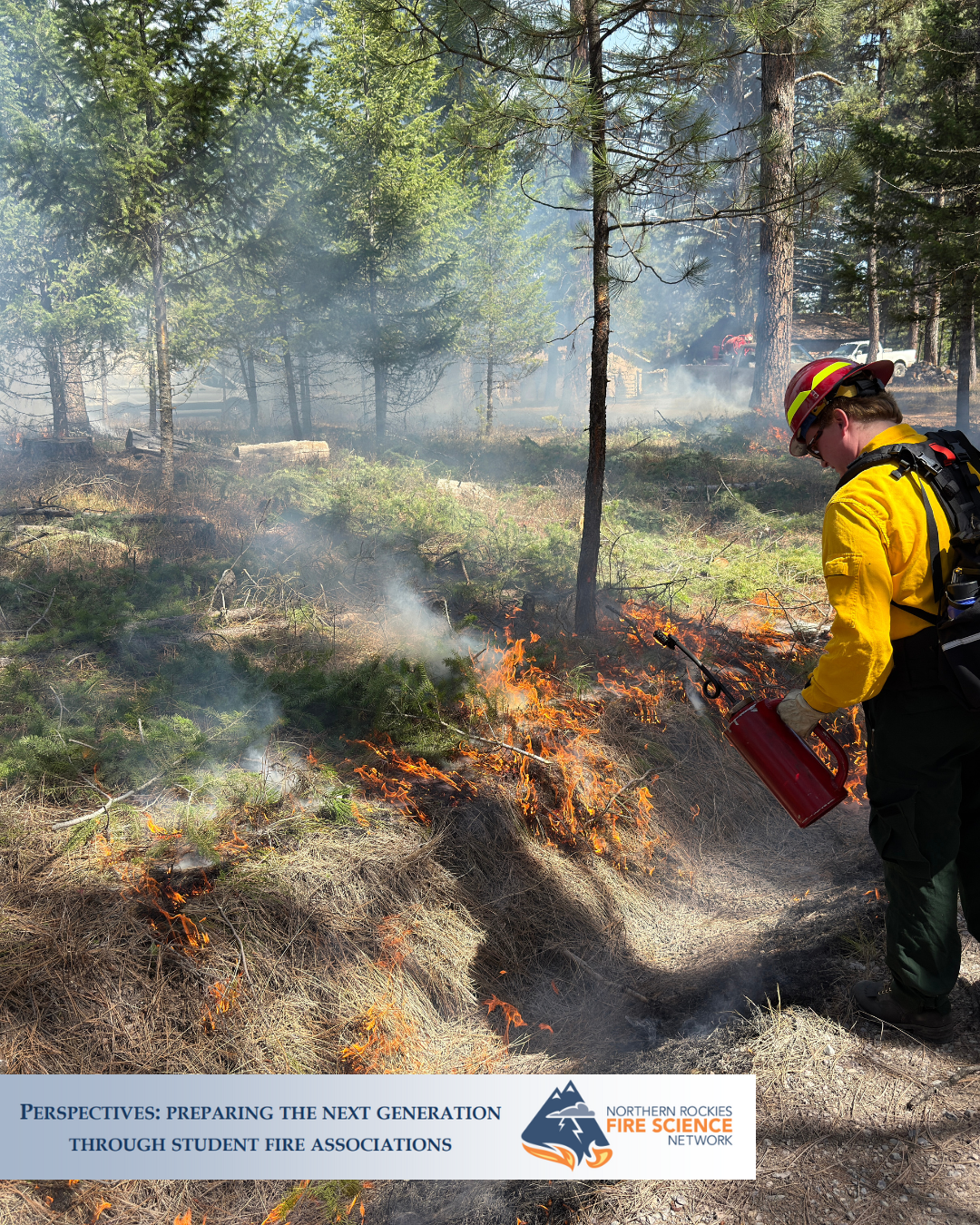 student with a drip torch works on a prescribed fire