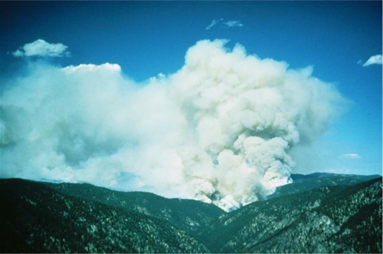 ButteFireStaffRideImage.jpg