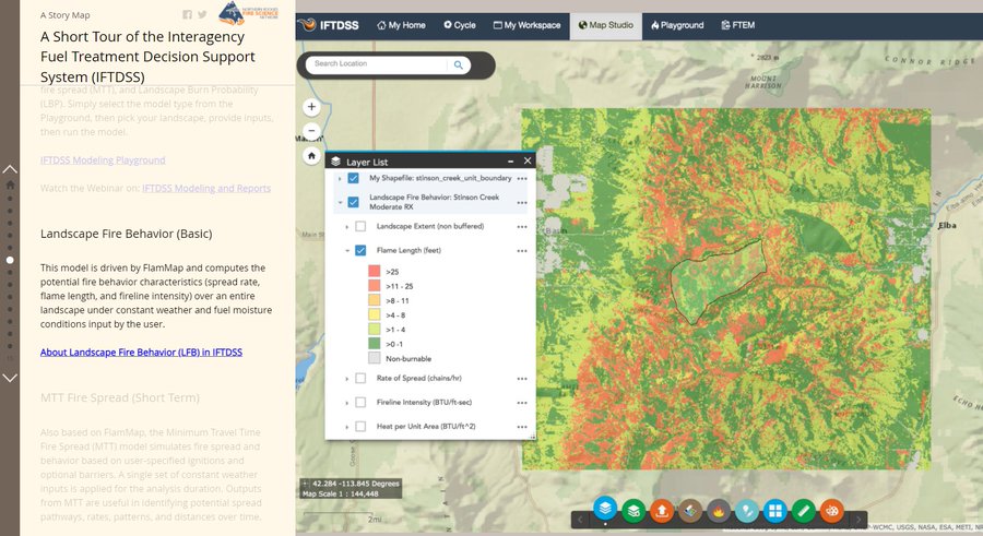 Screenshot from the IFTDSS storymap