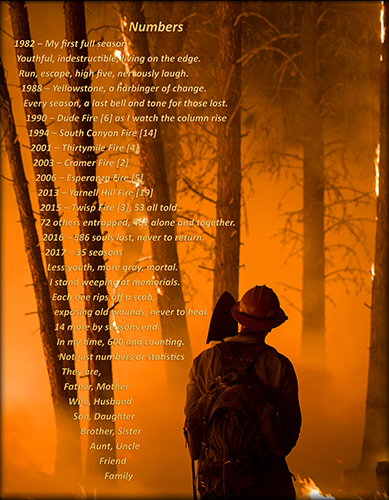 Numbers text overlaid on orange smoky forest scene