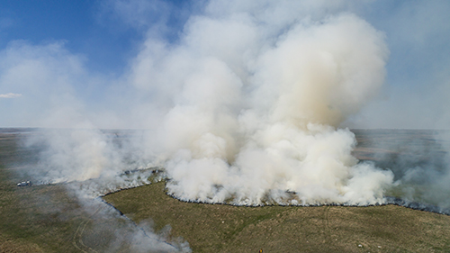 Untitled #3 (from series "North Dakota Rangeland Prescribed Burn")