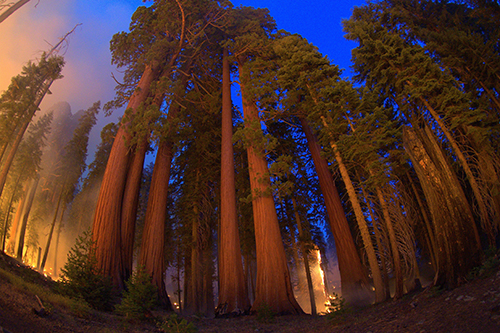 Photograph of dusk during the Huckleberry Prescribed Fire in Sequoia National Park