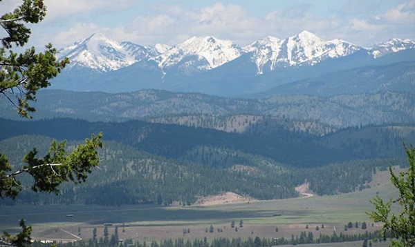 Landscape photo of Lubrecht Exp Forest