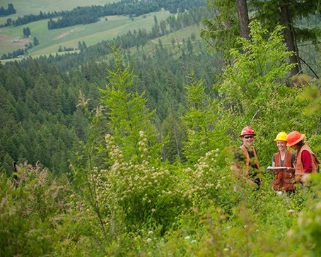 University of Idaho Exp Forest