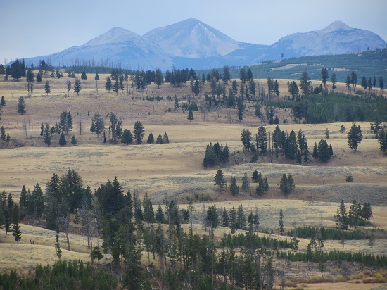 Yellowstone landscape view