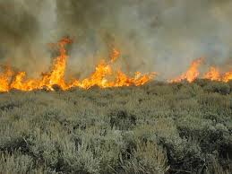 sagebrush burning