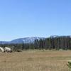 Near plains and trees in the distance